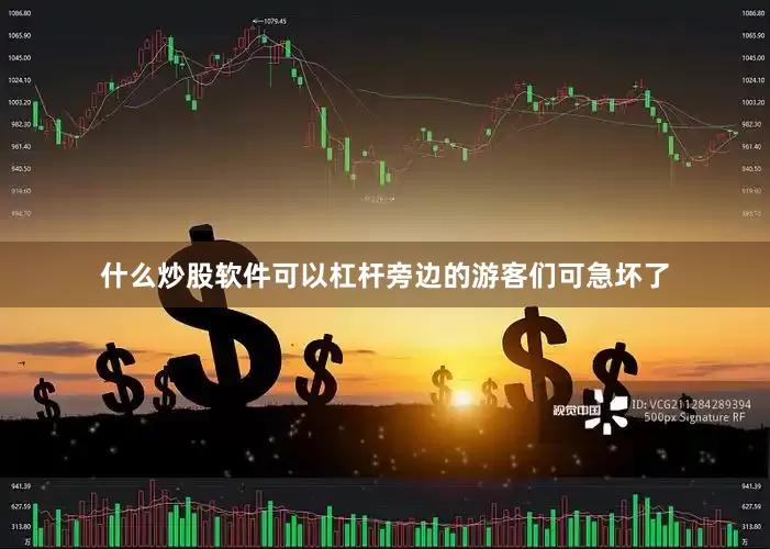 什么炒股软件可以杠杆旁边的游客们可急坏了