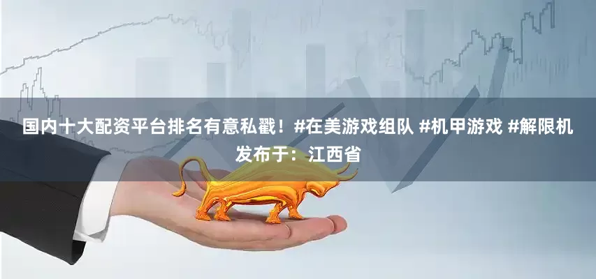 国内十大配资平台排名有意私戳！#在美游戏组队 #机甲游戏 #解限机发布于：江西省