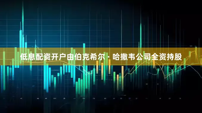 低息配资开户由伯克希尔 · 哈撒韦公司全资持股