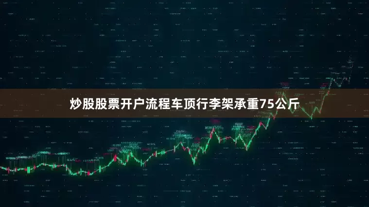 炒股股票开户流程车顶行李架承重75公斤